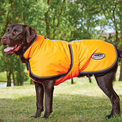 https://www.weatherbeeta.com/pets/dog-coats