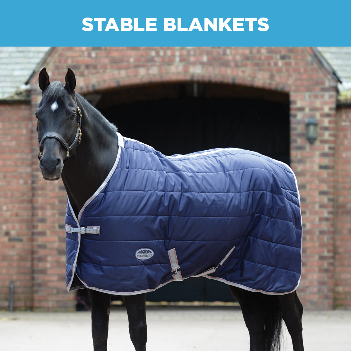 Shop Stable Blankets