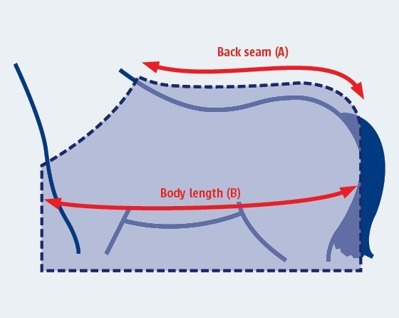 weatherbeeta how to measure your horse